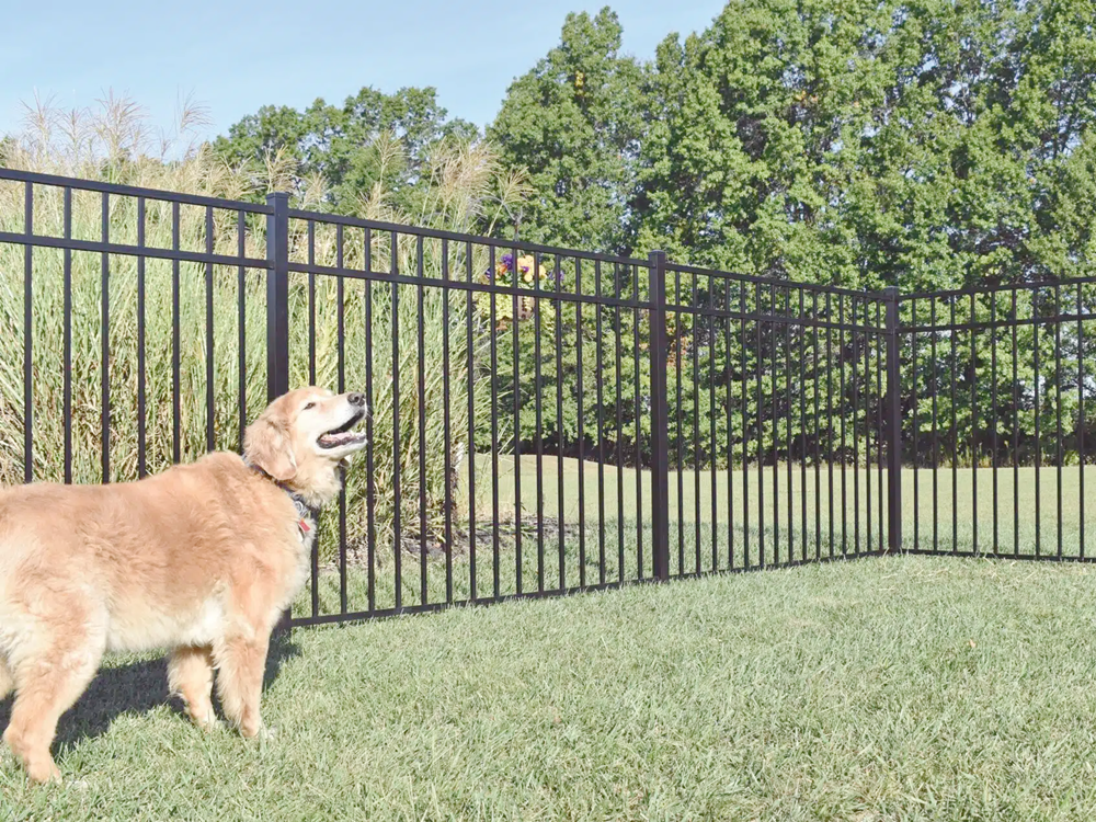 Aluminum Security Fence