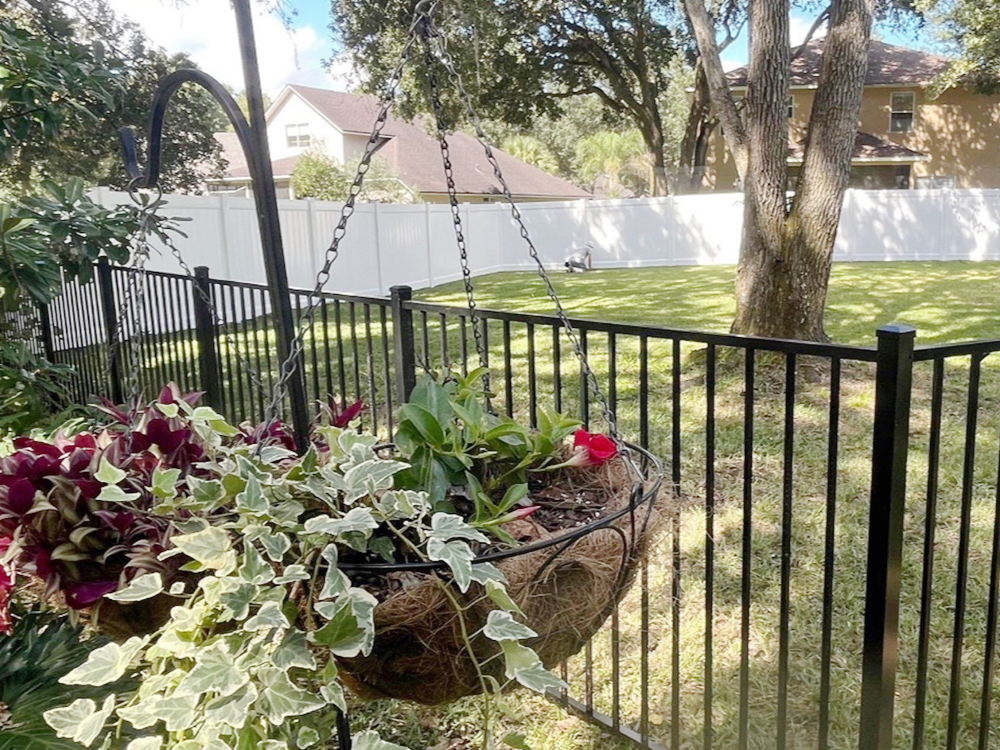 Ornamental Fence