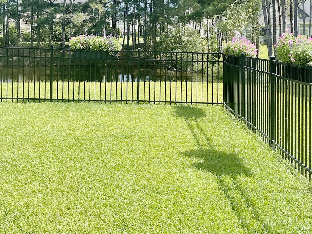 Metal Fence