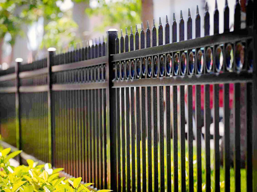 Steel Border Fence